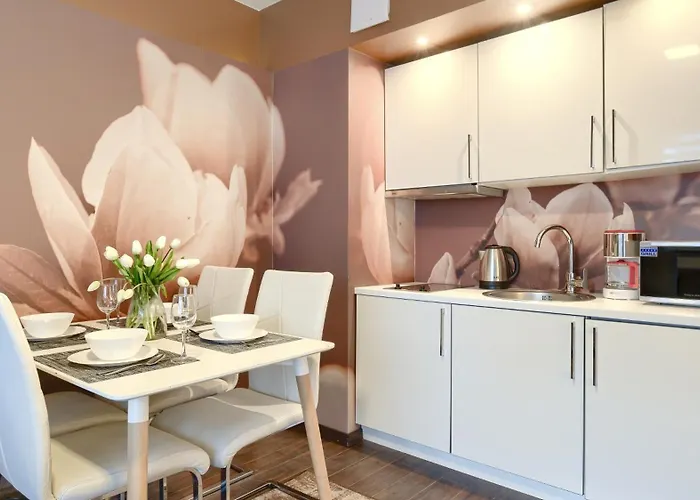 Kosciuszki, Sun & Snow كولوبرزيغ